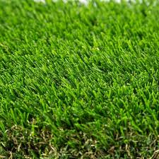 AstroTurf 